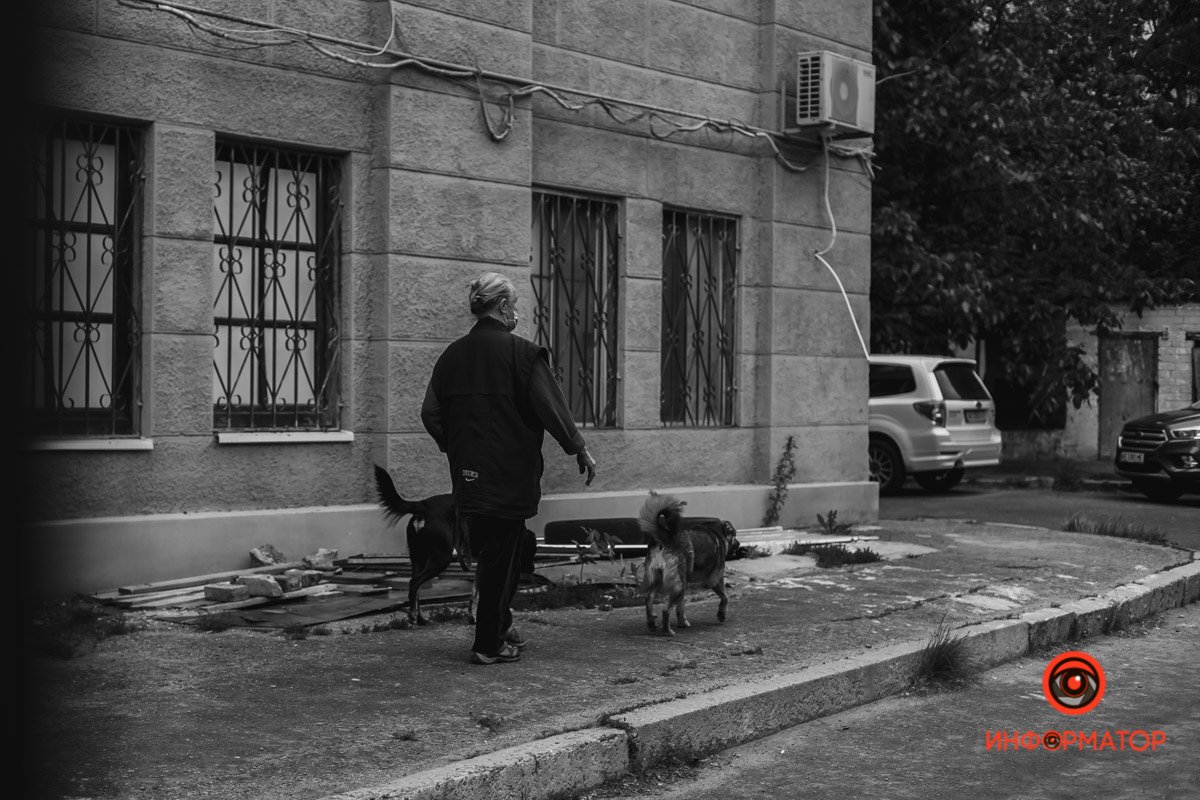 И снова можно будет гулять