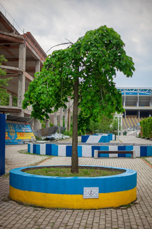 Может, когда-то тут наведут порядок местные власти Может, когда-то тут наведут порядок местные власти