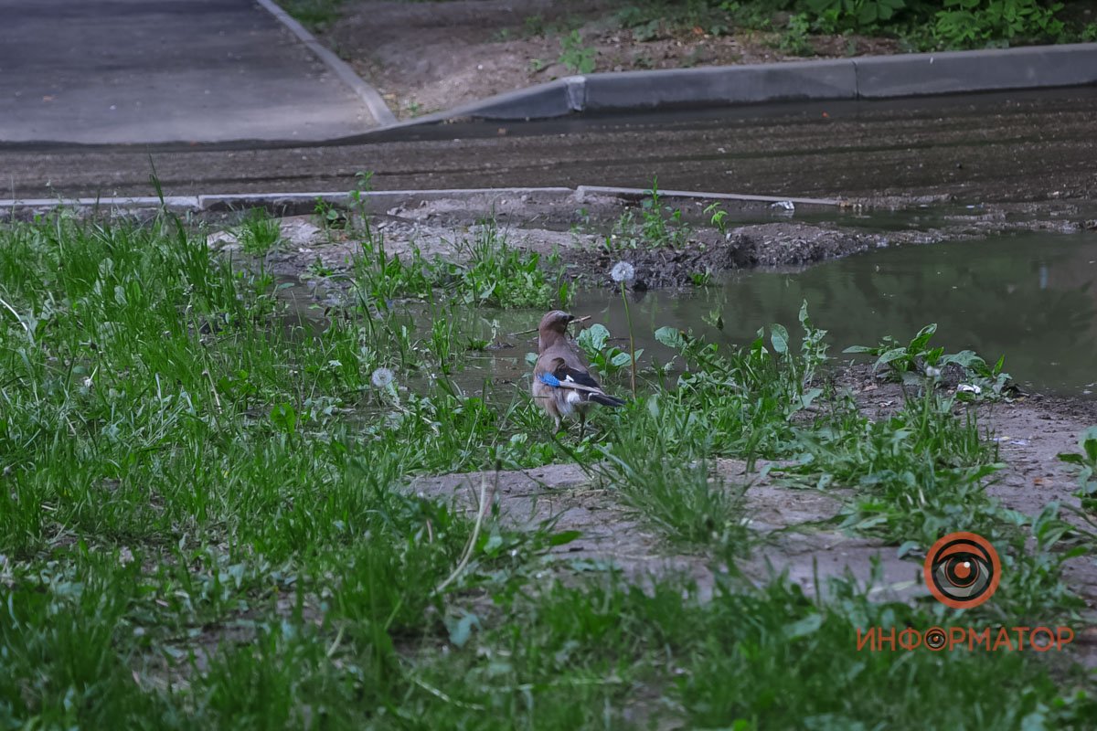 Минутка добра Минутка добра