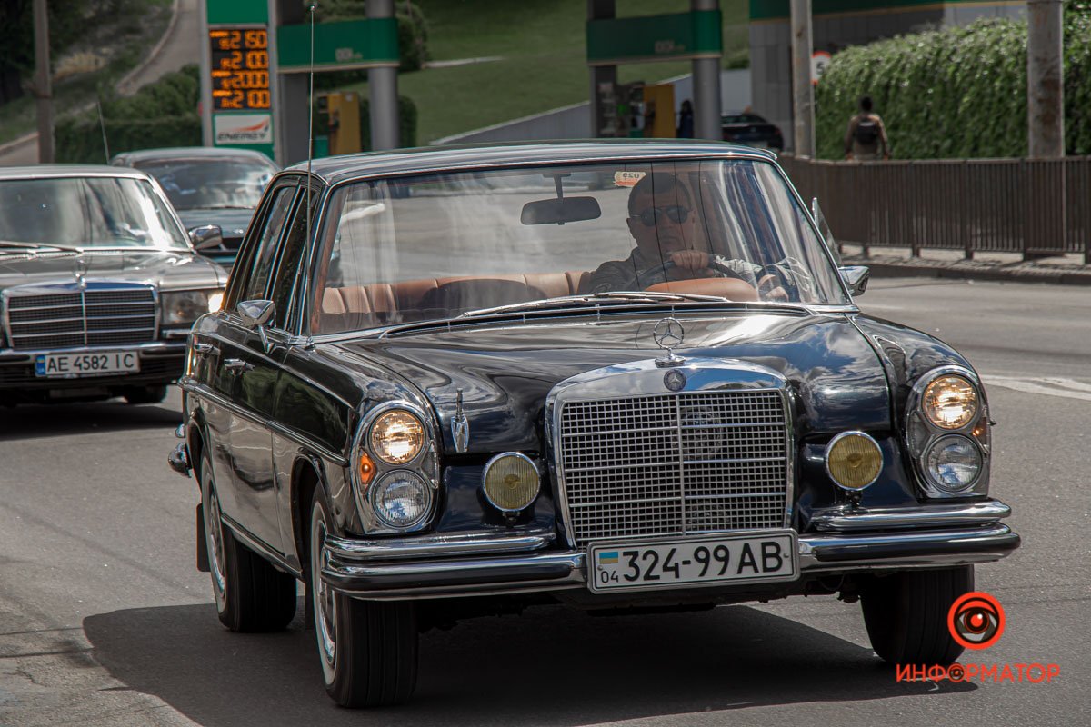 Ласточки Ласточки