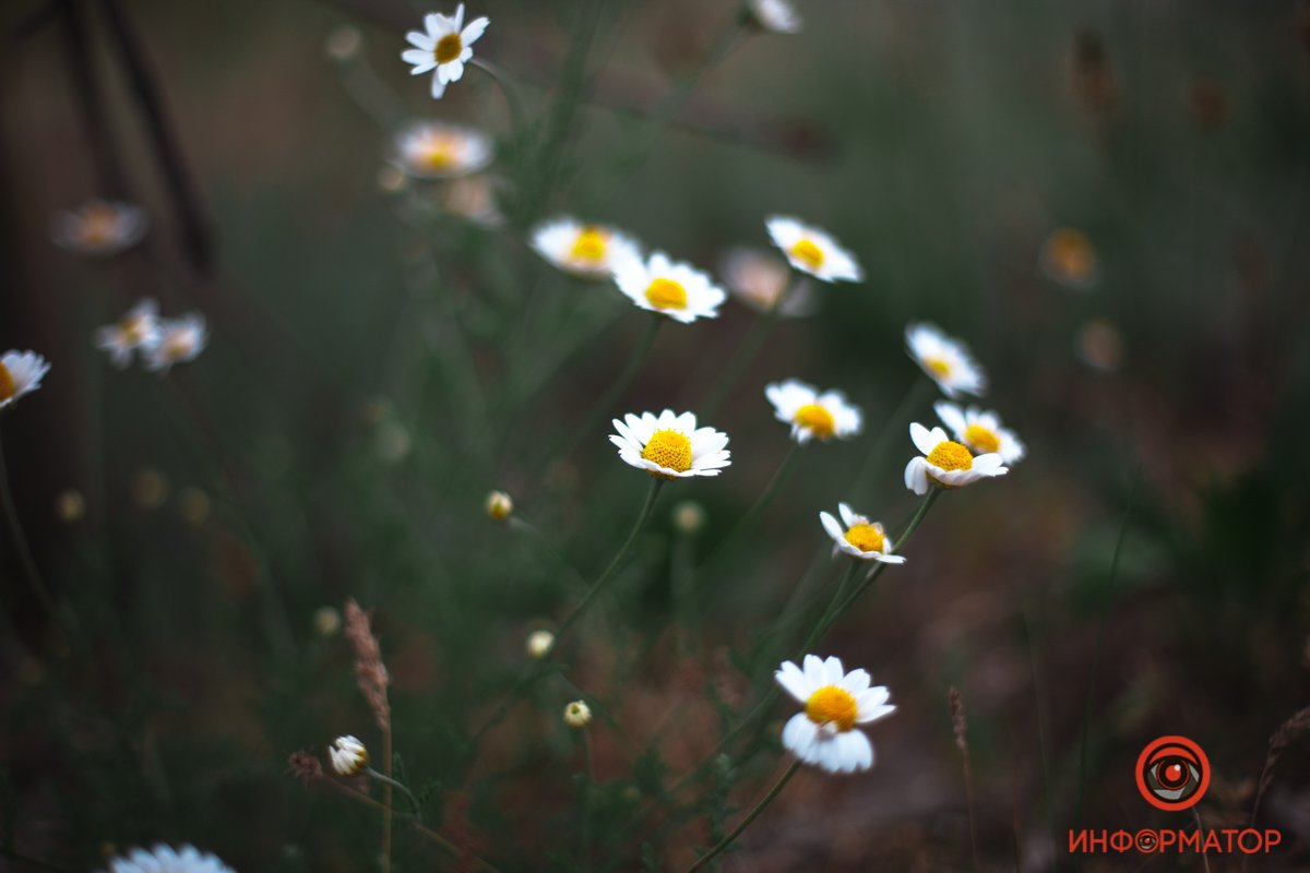 Как выглядит весенний Приднепровск с высоты 4