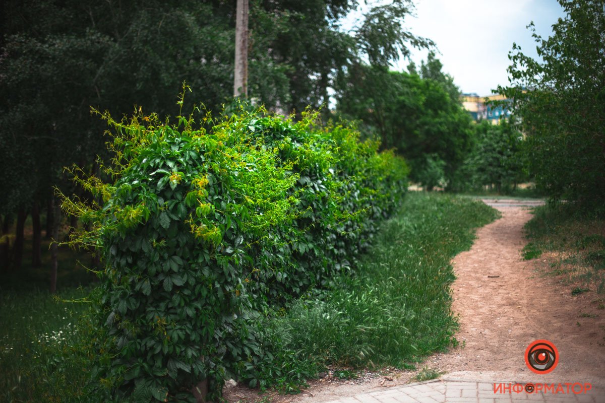 Как выглядит весенний Приднепровск с высоты 5