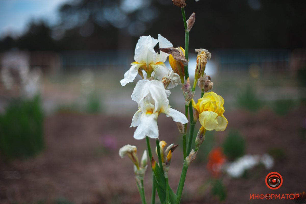 Как выглядит весенний Приднепровск с высоты 14