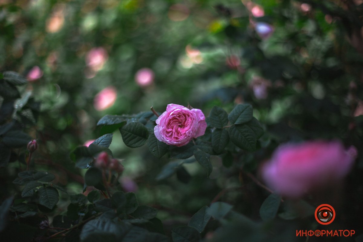 Как выглядит весенний Приднепровск с высоты 24