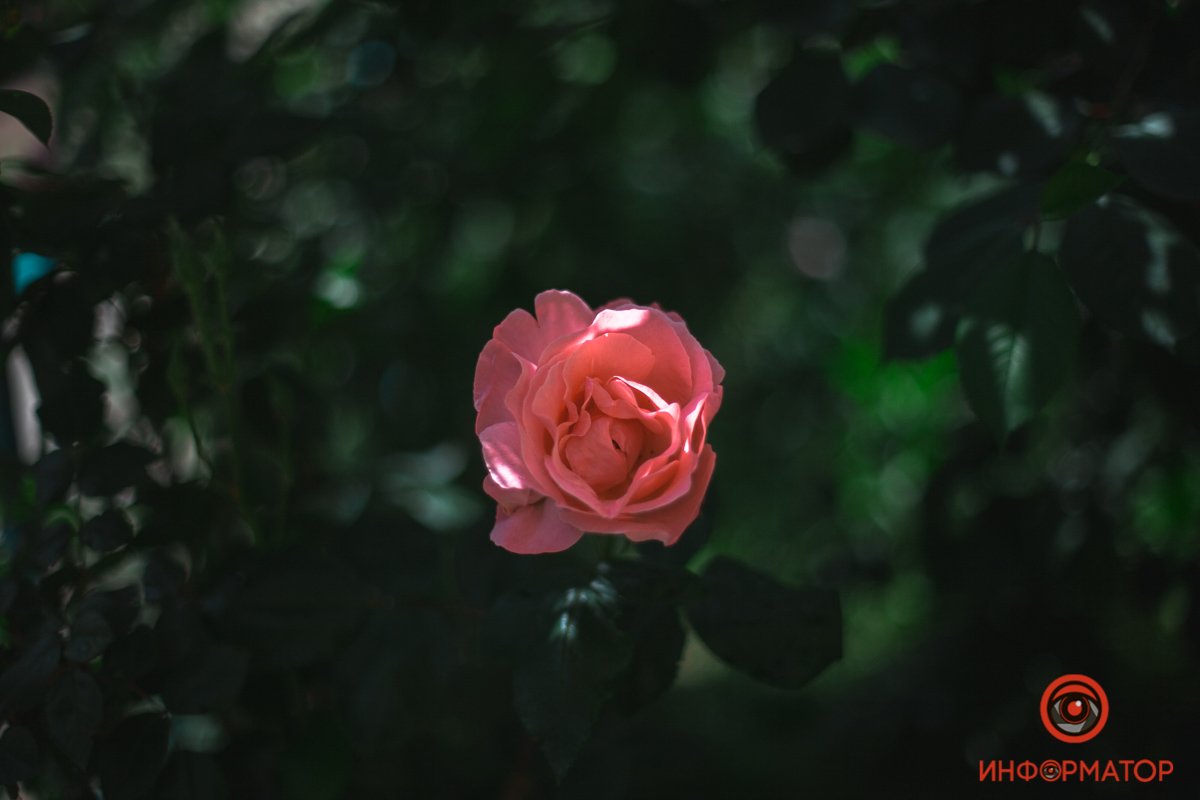 Как выглядит весенний Приднепровск с высоты 25