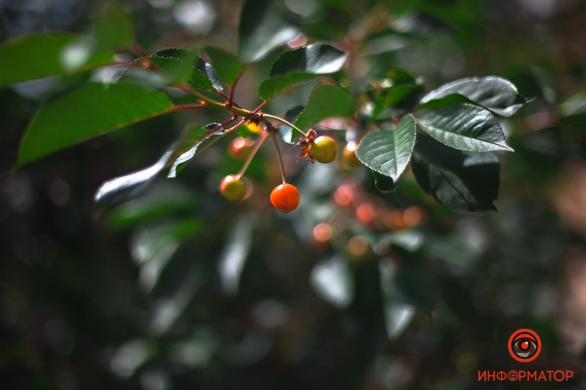 Как выглядит весенний Приднепровск с высоты 26