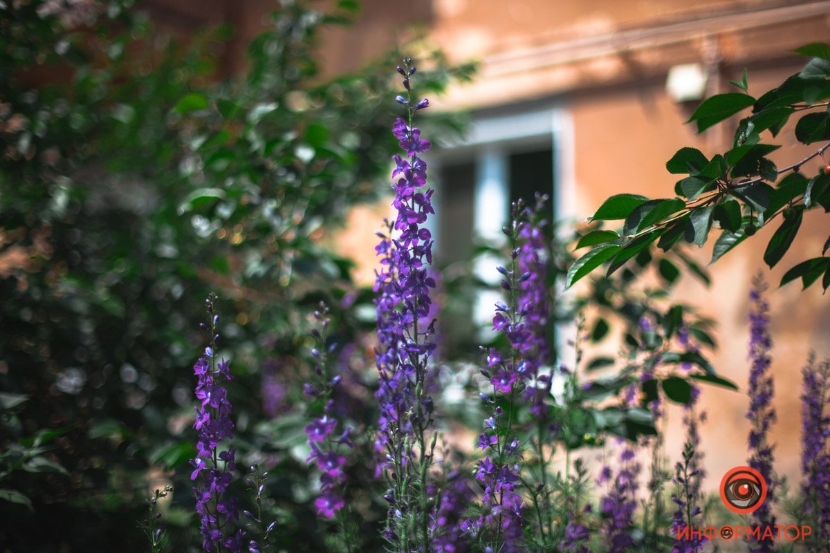 Как выглядит весенний Приднепровск с высоты 27