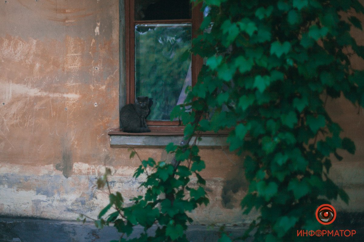 Как выглядит весенний Приднепровск с высоты 29