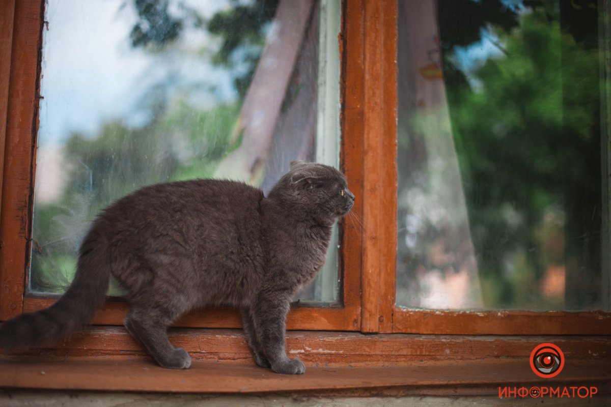 Как выглядит весенний Приднепровск с высоты 30