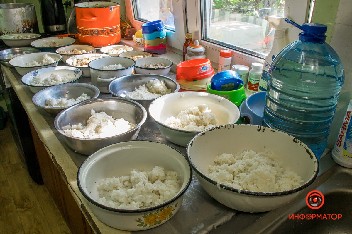 У любви четыре лапы: как живет приют для хвостатых под Днепром 45