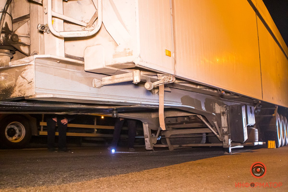 Водитель успел вовремя затормозить