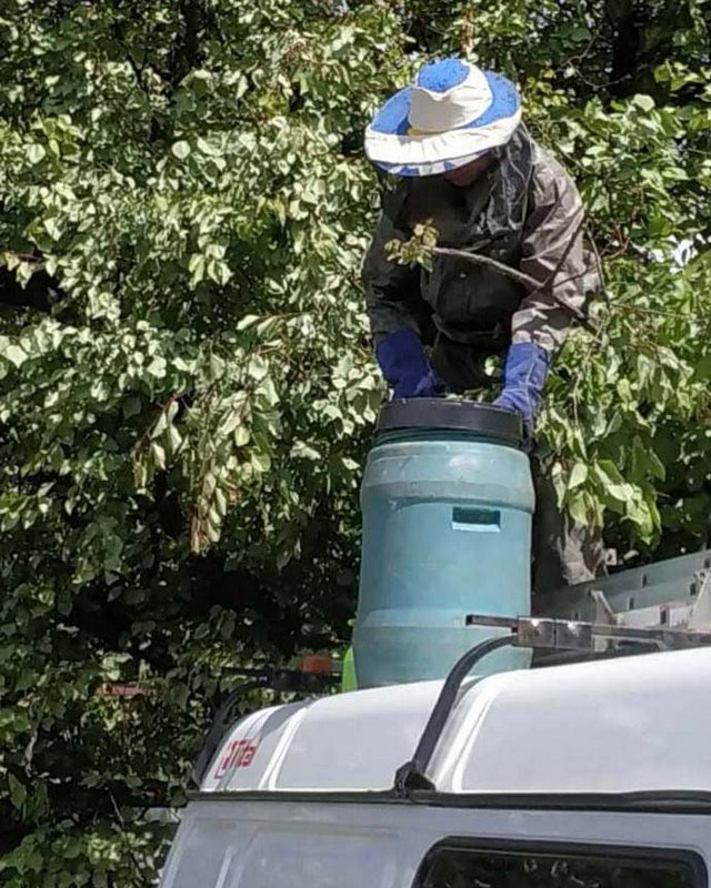 Спасатели перевезли их за город