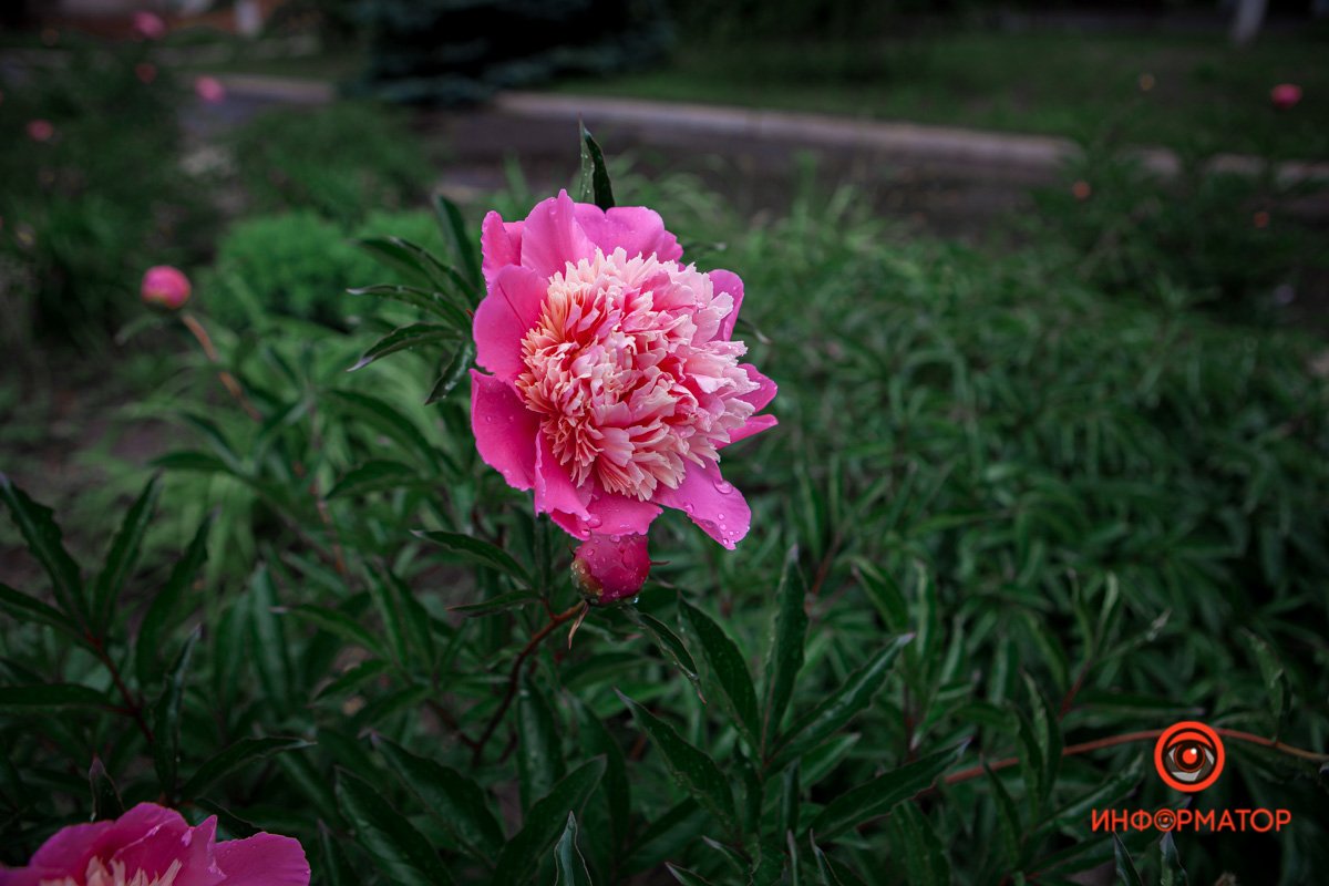 Мир прекрасен