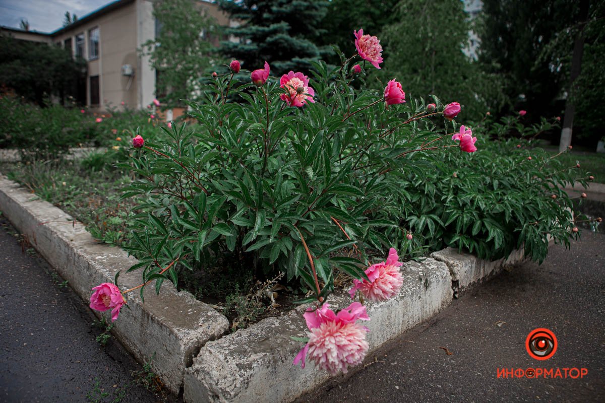 Оглянитесь