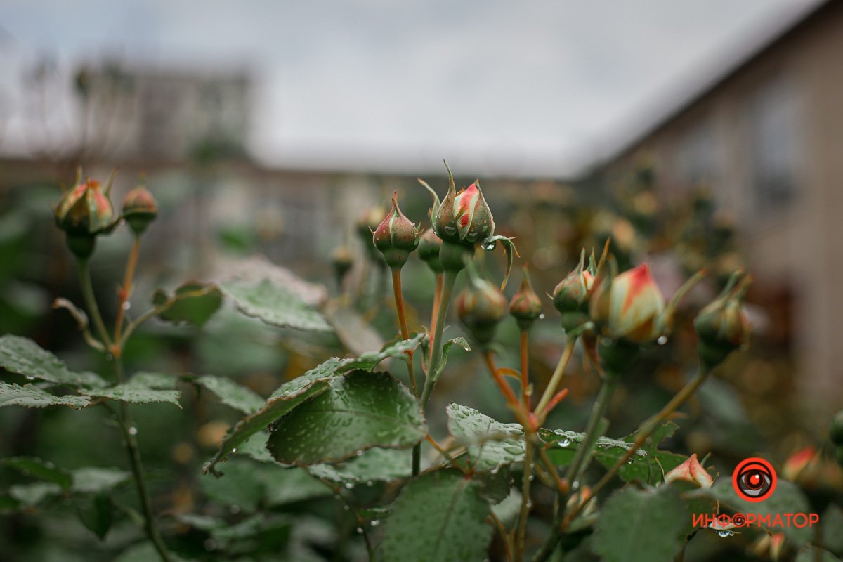 Весна обязательно будет