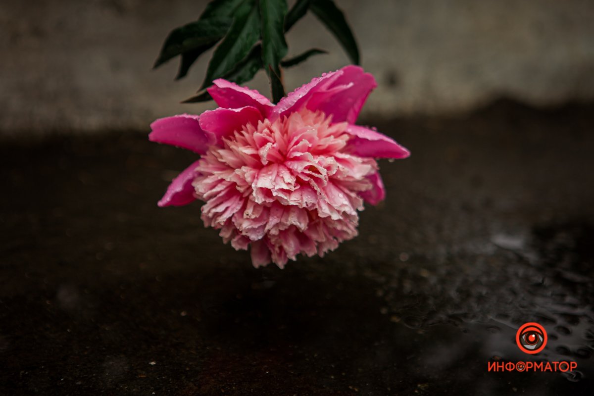 Весна очаровывает 