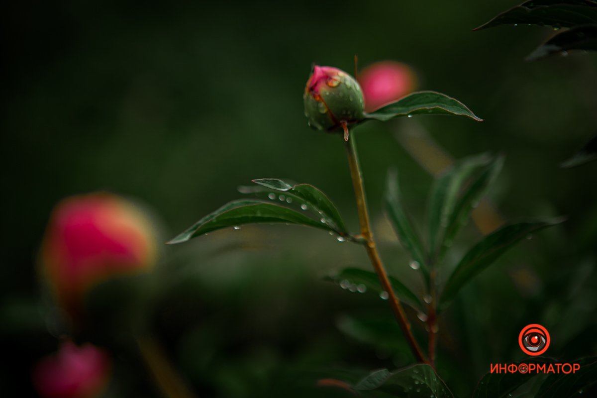 Скоро будет тепло