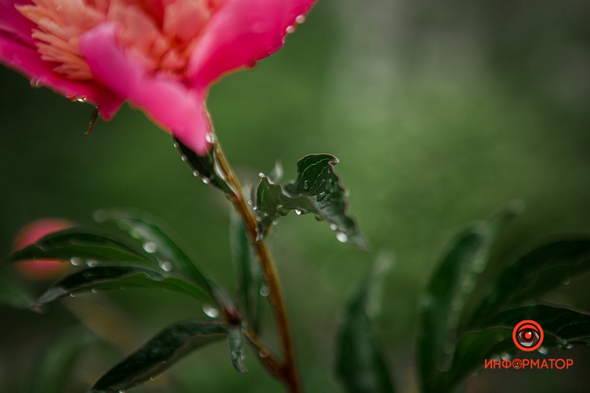 Любая погода хороша