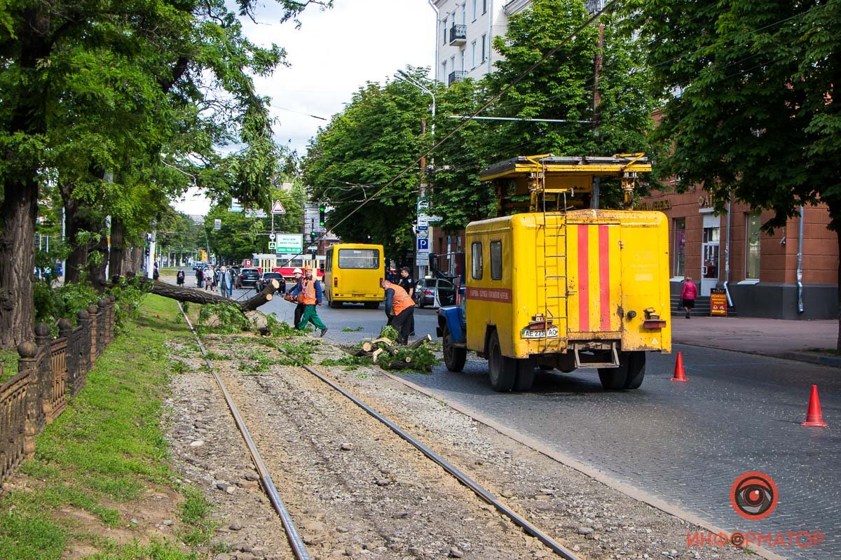 На проспекте Дмитрия Яворницкого ветка треснувшего дерева нависла над трамвайными колеями На проспекте Дмитрия Яворницкого ветка треснувшего дерева нависла над трамвайными колеями
