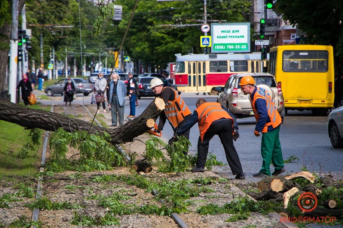 На место оперативно приехали коммунальщики На место оперативно приехали коммунальщики