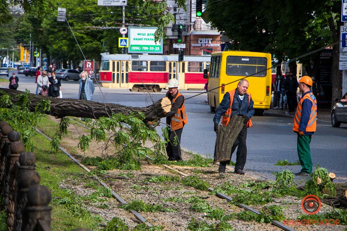 Инцидент произошел перед перекрестком проспекта Дмитрия Яворницкого и улицы Шмидта Инцидент произошел перед перекрестком проспекта Дмитрия Яворницкого и улицы Шмидта
