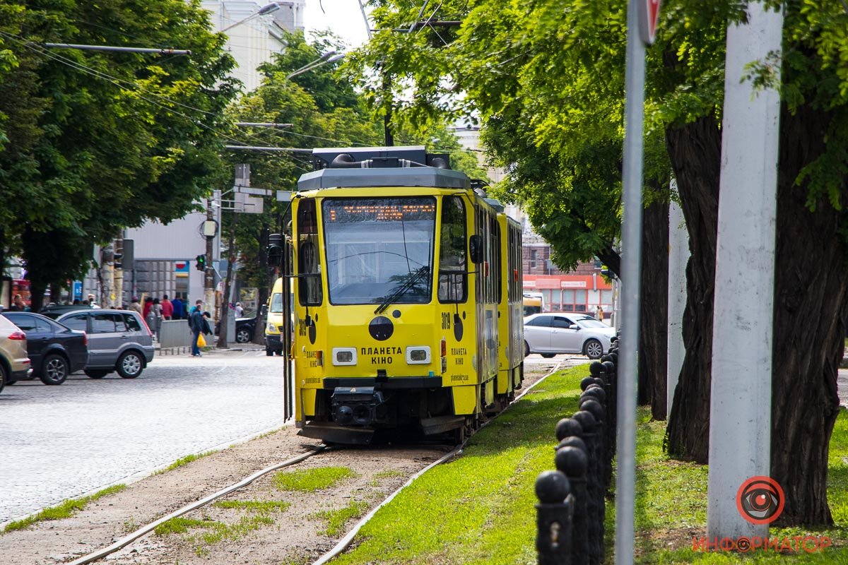 Ветка стала преградой только одному трамваю Ветка стала преградой только одному трамваю
