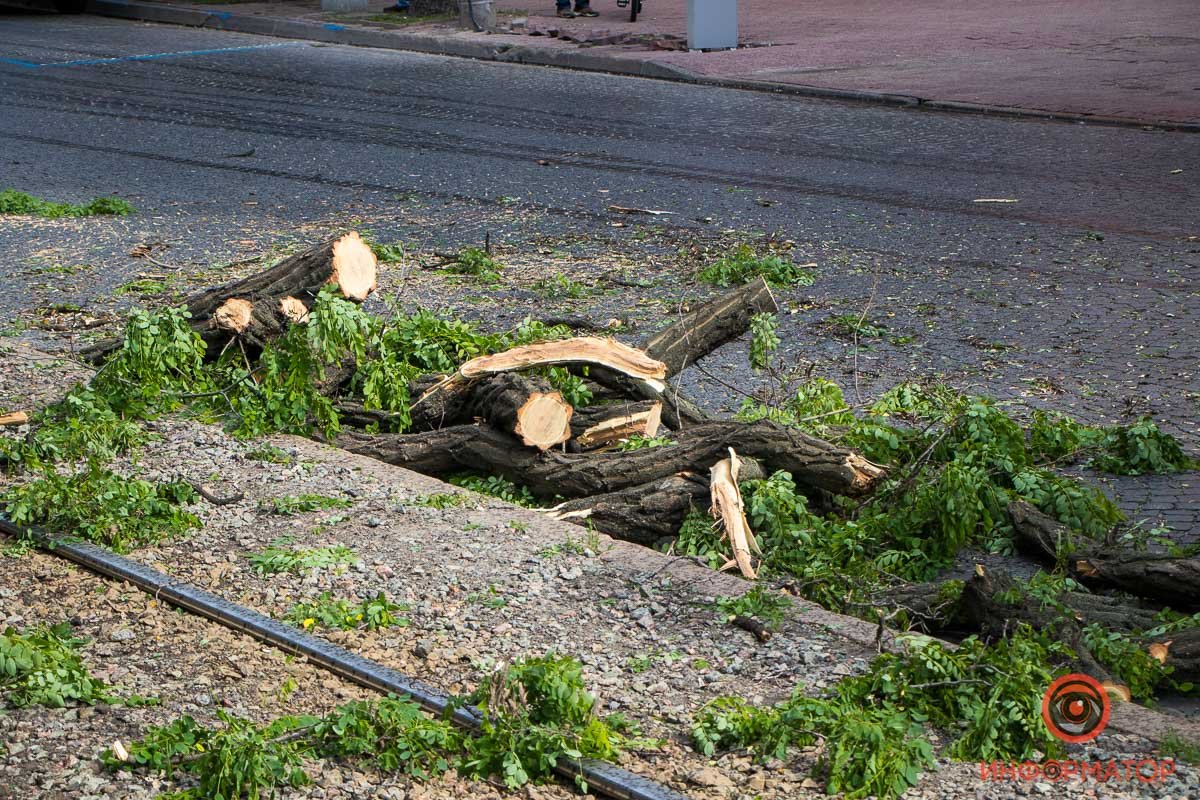 Фото: Дмитрий Федоров Фото: Дмитрий Федоров