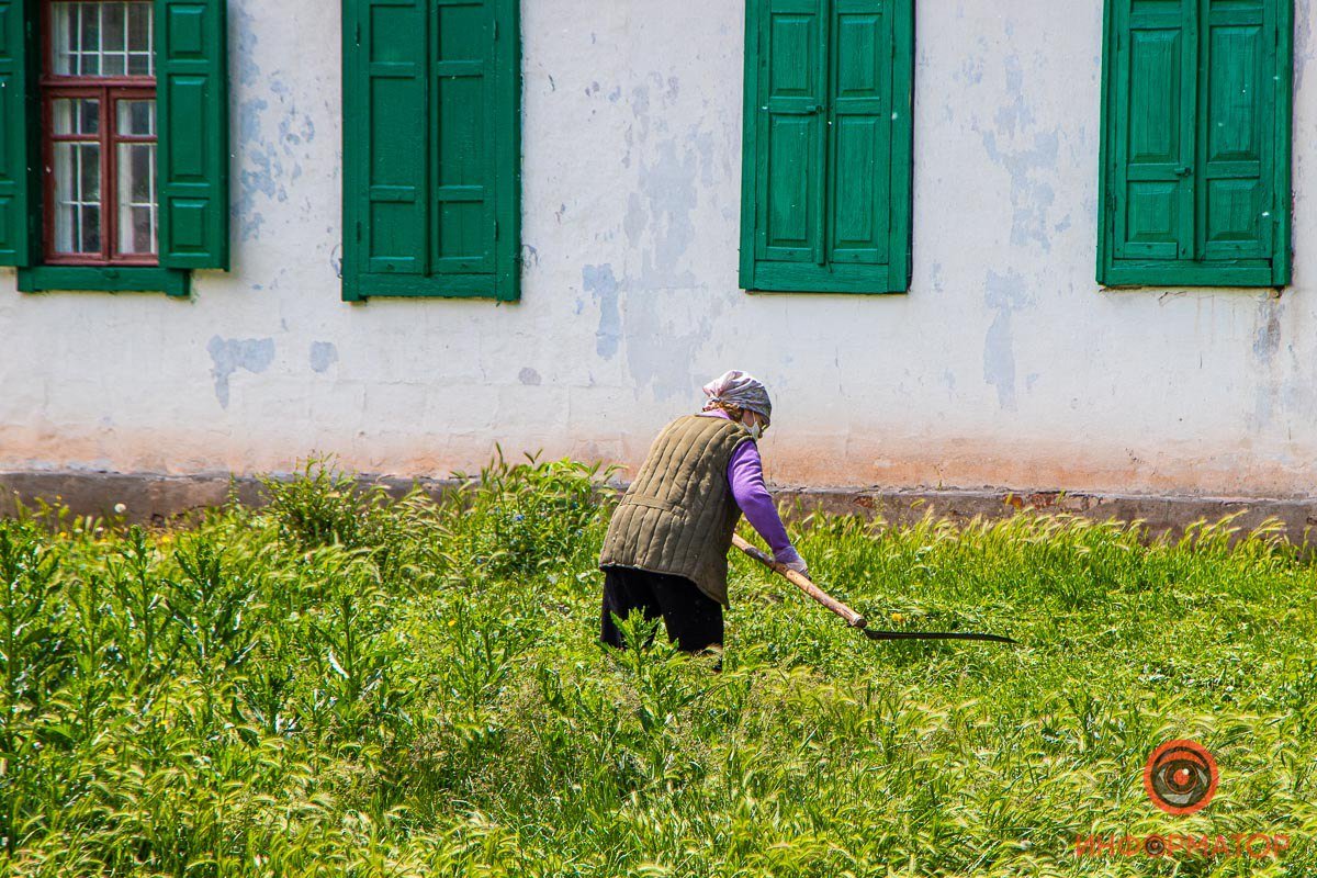 Мирный весенний сюжет Мирный весенний сюжет