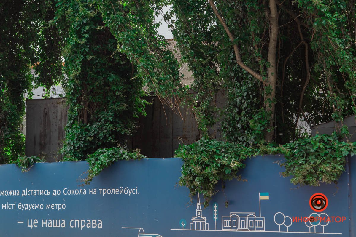 Природа выглядывает из-за забора