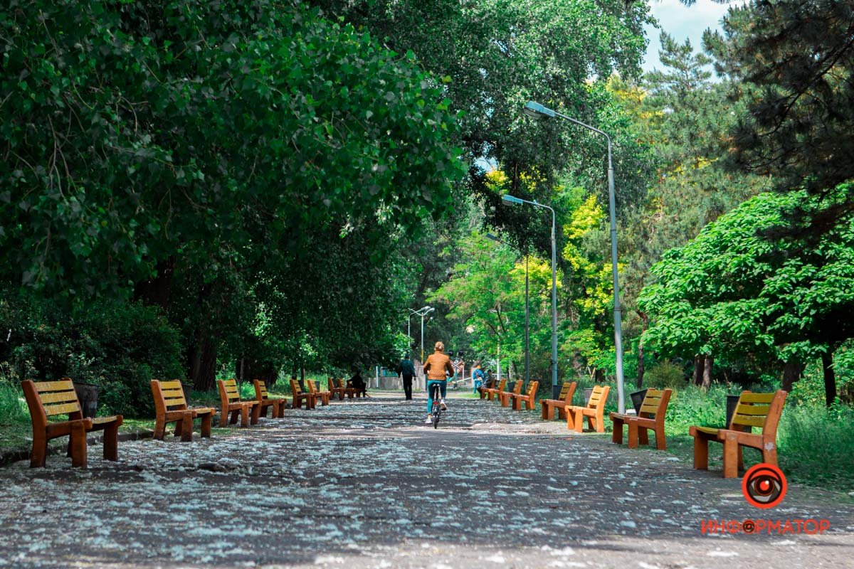 Пух всех прогнал