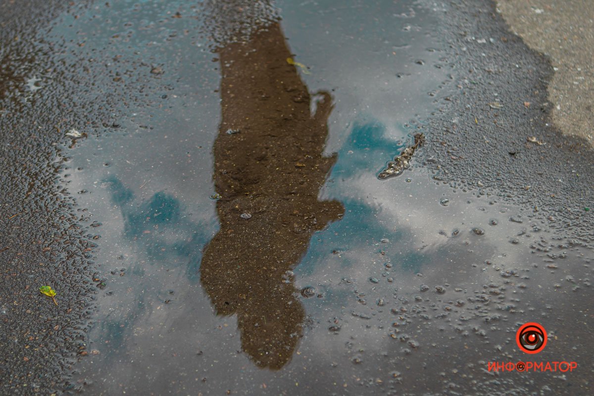 Отражения в лужах