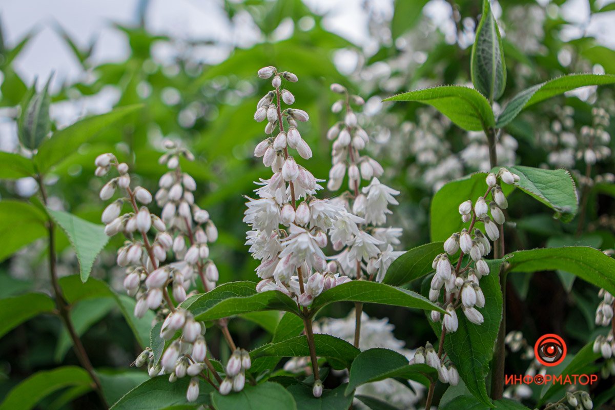 1 июня: куда пойти сегодня 1