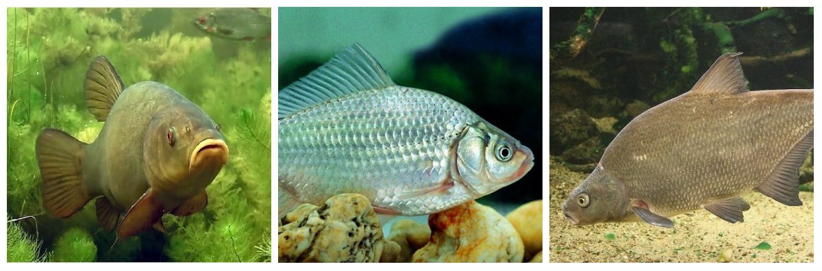 1 июня: куда пойти сегодня 2