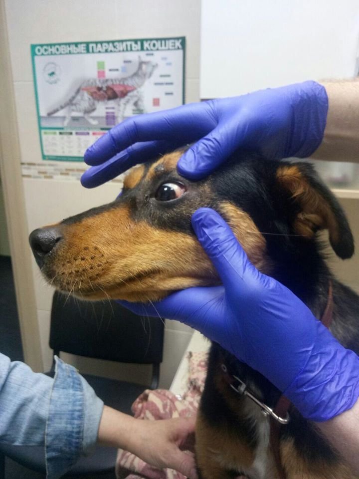 Нужна помощь 