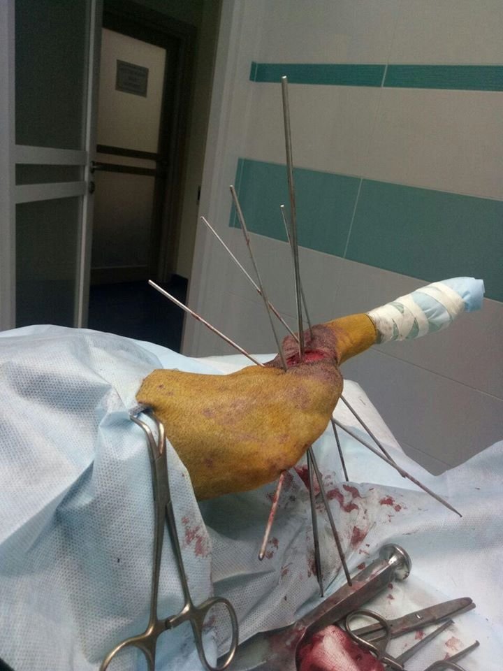 Бедный собуль