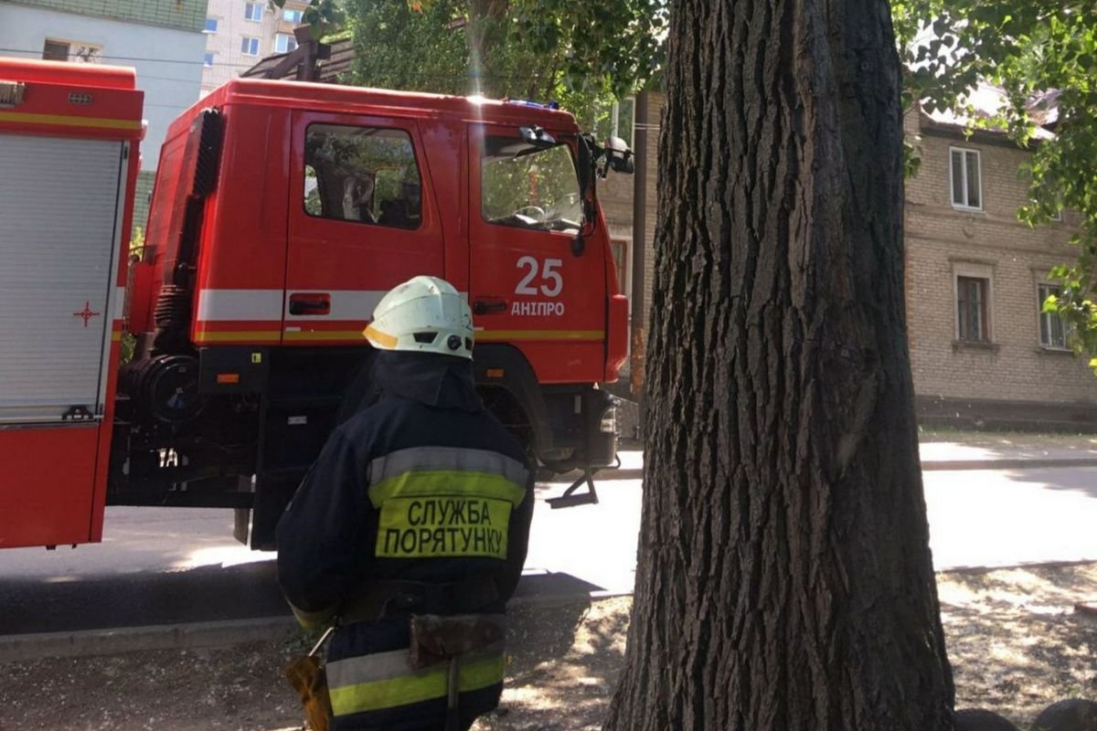 Котика сняли и передали в надежные руки хозяина