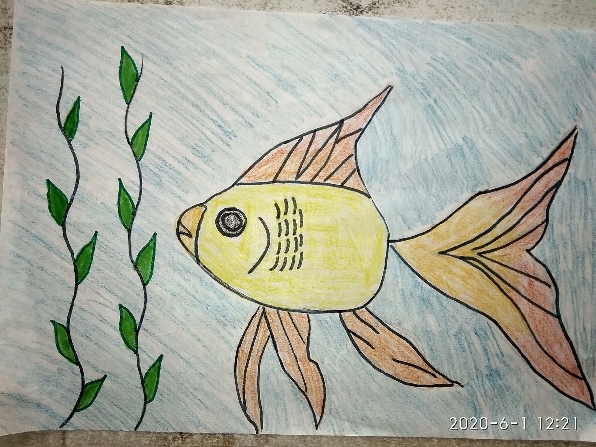 Сотни рисунков уже появились в онлайн-галерее проекта Геннадия Гуфмана «Життя очима дитини»-2020 5