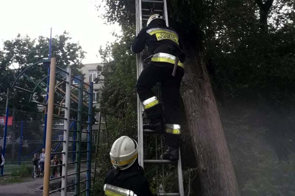 На помощь вызвали спасателей На помощь вызвали спасателей