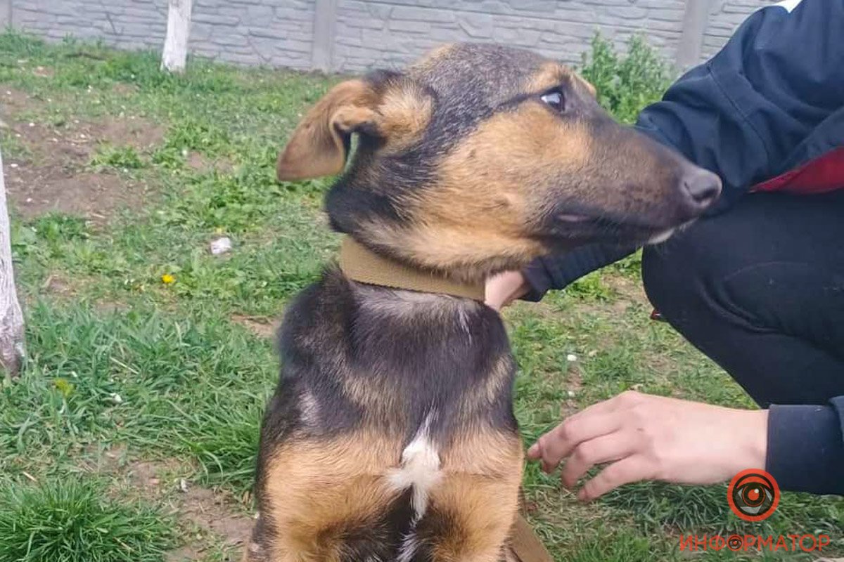 Скучать с Мальвиной не придется