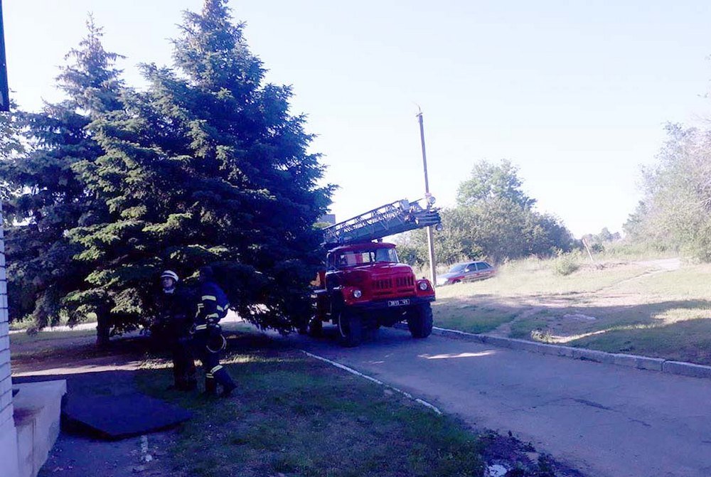 На борьбу с огнем у спасателе ушло меньше получаса