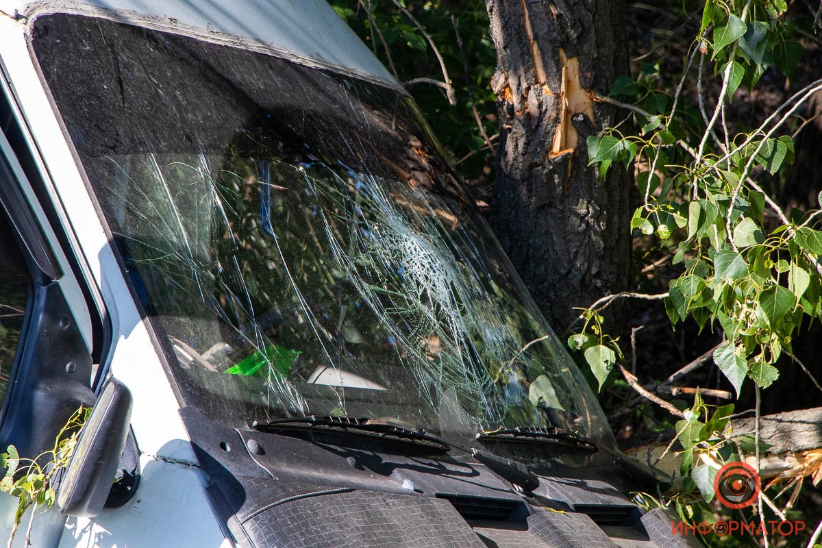 Ford вынесло в кювет