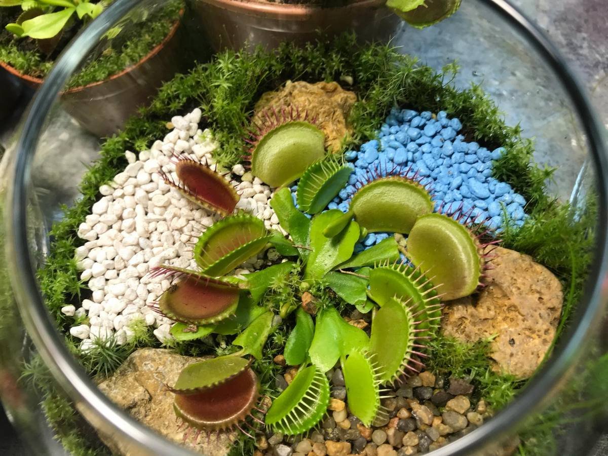 Удивительное творение природы