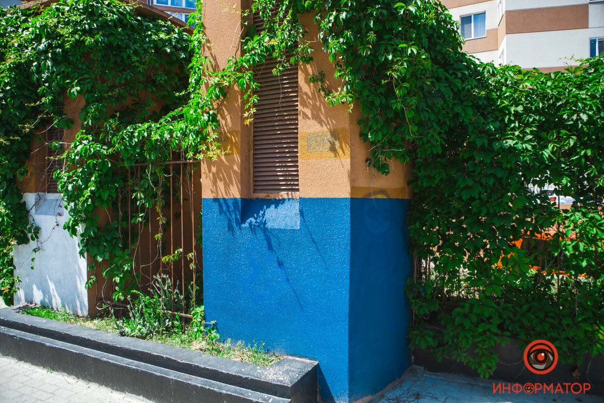 Фанаты ФК "Днепр" привели в порядок бульвар Кучеревского: как он выглядит сейчас 17