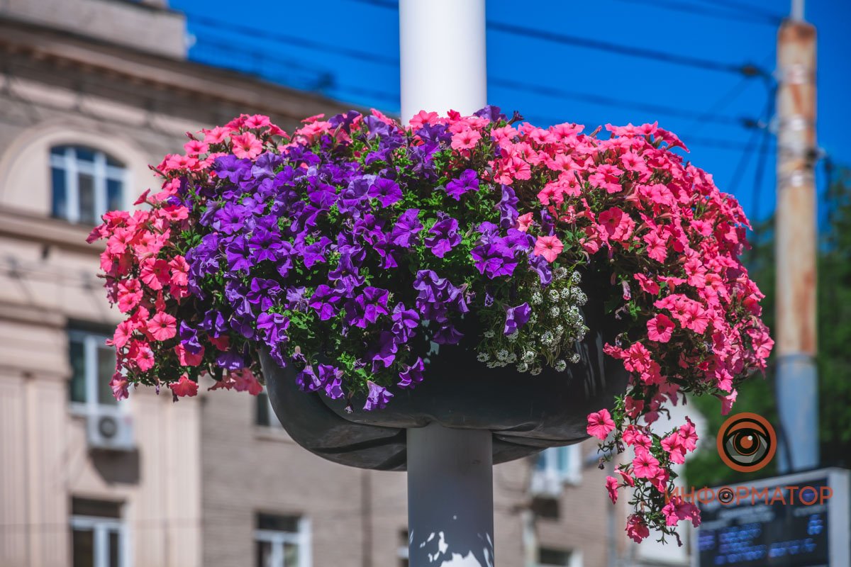 Днепр в деталях: угадайте, где это находится 9