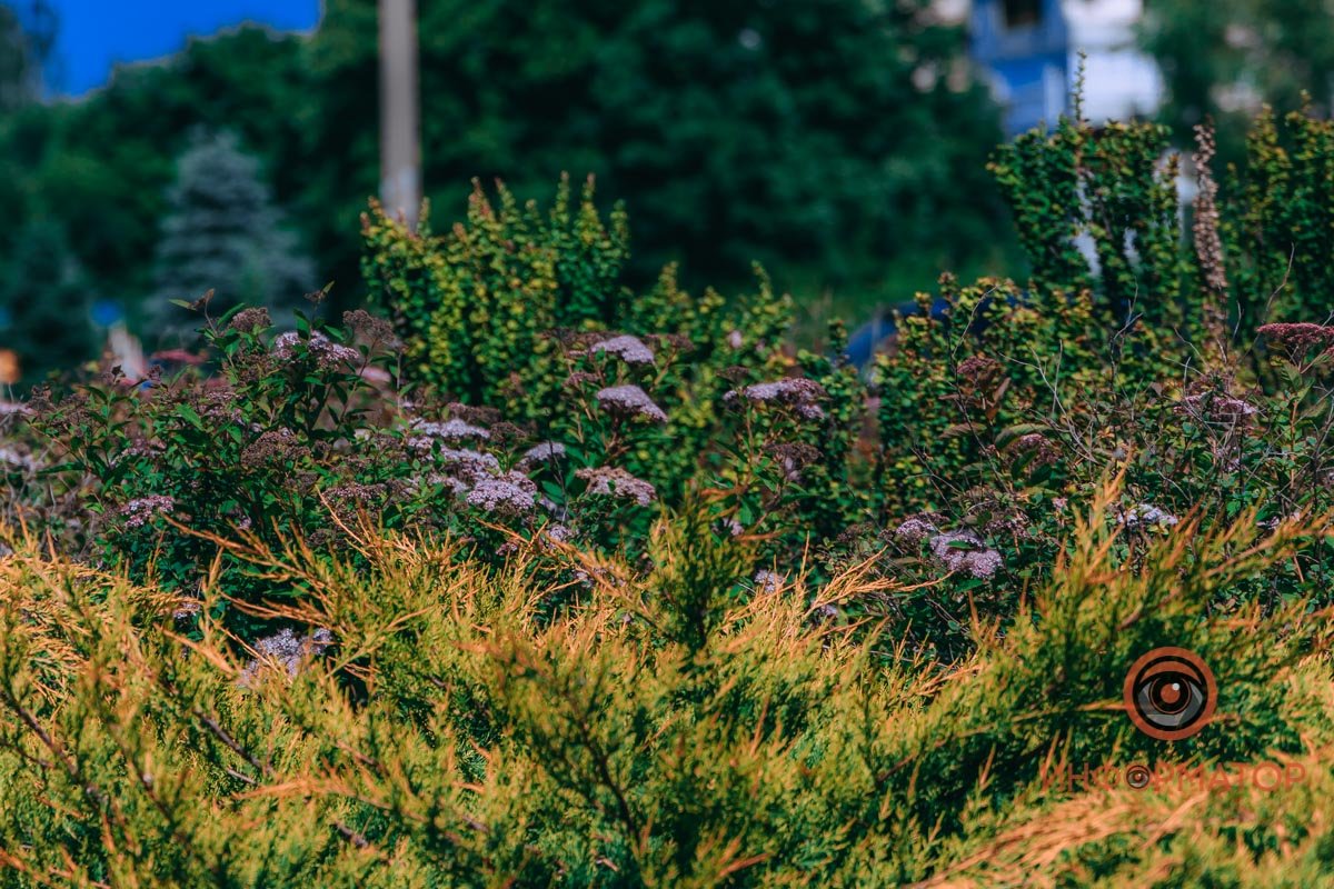 Такой, как на карточке старой: Без шрамов военной поры,