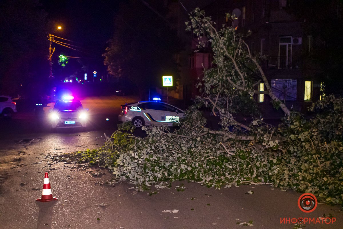 Дерево упало на пересечении улиц Паторжинского и Южной Дерево упало на пересечении улиц Паторжинского и Южной