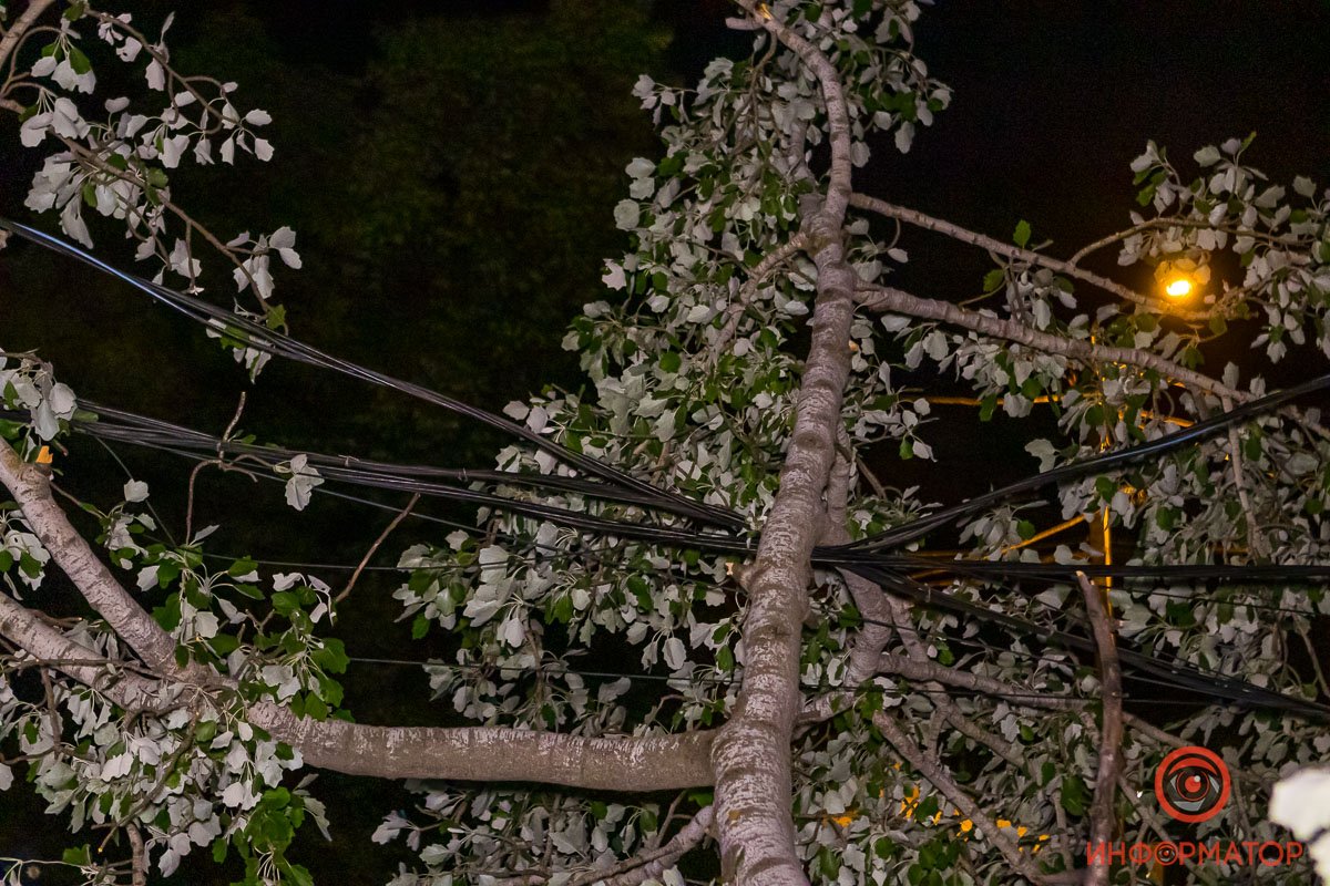 В соседних домах, по словам жильцов, отключили свет В соседних домах, по словам жильцов, отключили свет