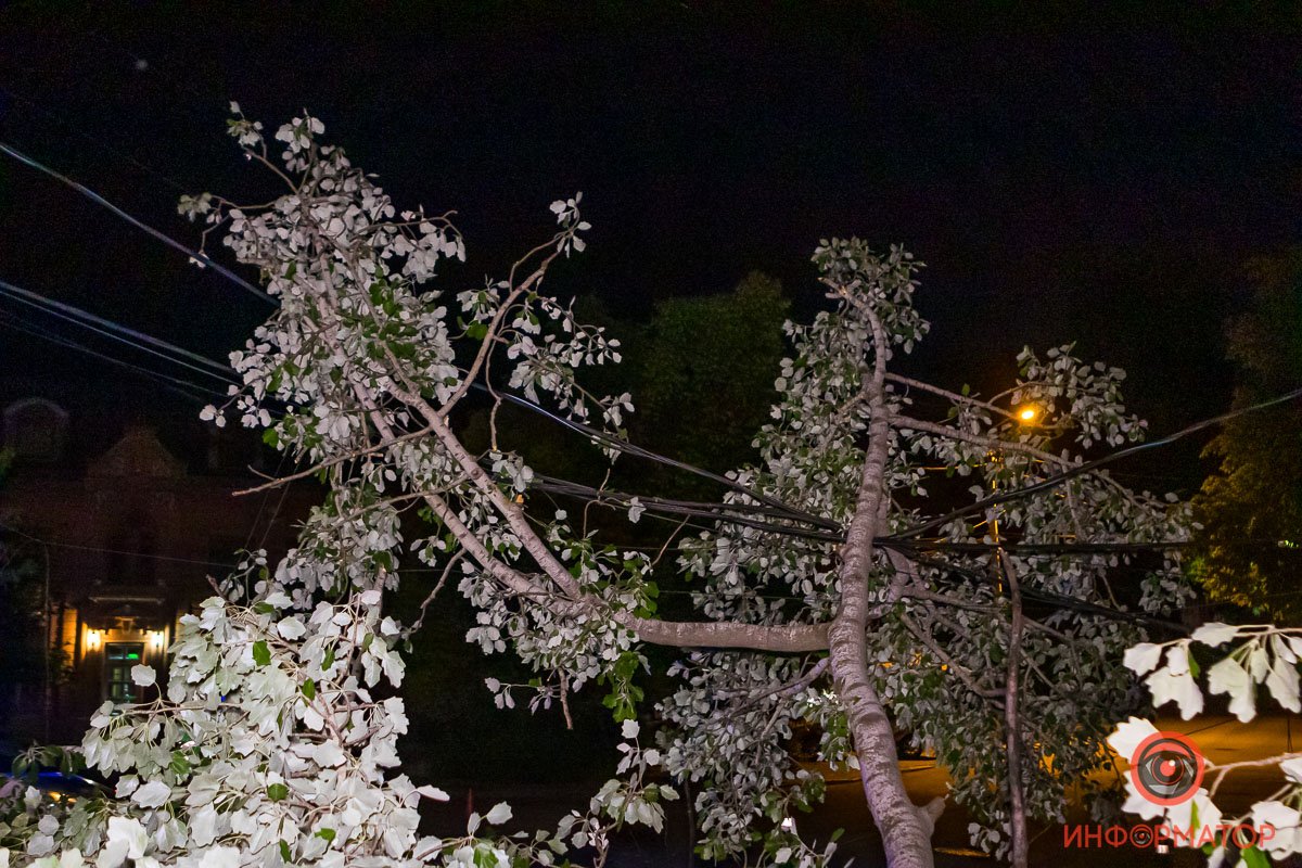 Ветви повисли на проводах и частично оборвали их Ветви повисли на проводах и частично оборвали их