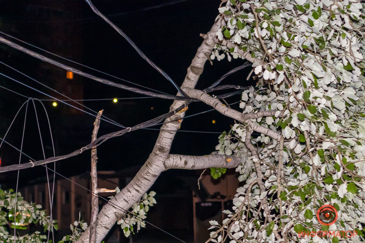 Недалеко от дерева стоял припаркованный автомобиль, но его ни ветки, ни проводка не зацепили Недалеко от дерева стоял припаркованный автомобиль, но его ни ветки, ни проводка не зацепили