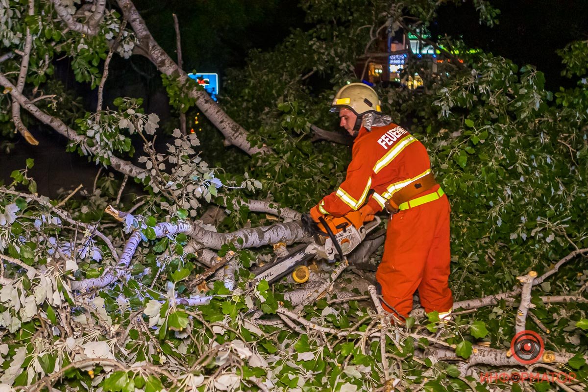 Сотрудники ГСЧС убирают ветки с дороги Сотрудники ГСЧС убирают ветки с дороги